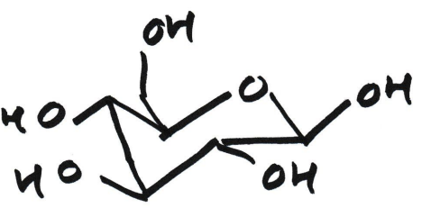<p><span><span>A </span></span>beta (β) anomer<span><span> is </span></span><mark data-color="rgba(0, 0, 0, 0)" style="background-color: rgba(0, 0, 0, 0); color: inherit;">a specific stereoisomer of a cyclic sugar where the hydroxyl (-OH) group on the anomeric carbon (C1 in aldoses) points to the same side (cis) as the CH₂OH group attached to the highest-numbered carbon (like C5 in glucose) in the ring</mark></p>