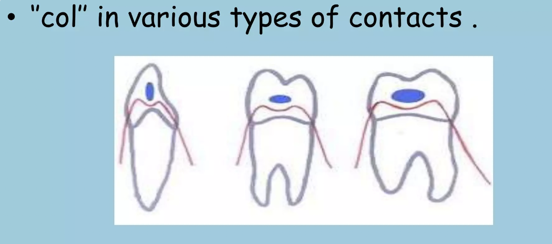 <p>A valley-like depression which connects the gingival papillae situated in the interproximal space between two teeth. </p>