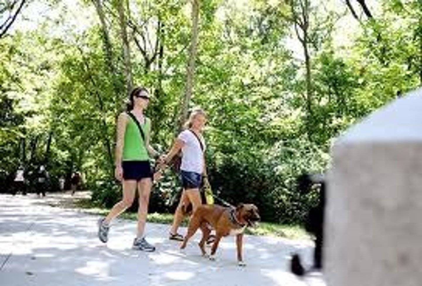 <p>paseo</p>