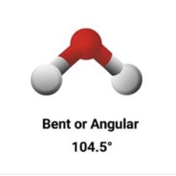 <p>Bent/ Angular • 104°</p>