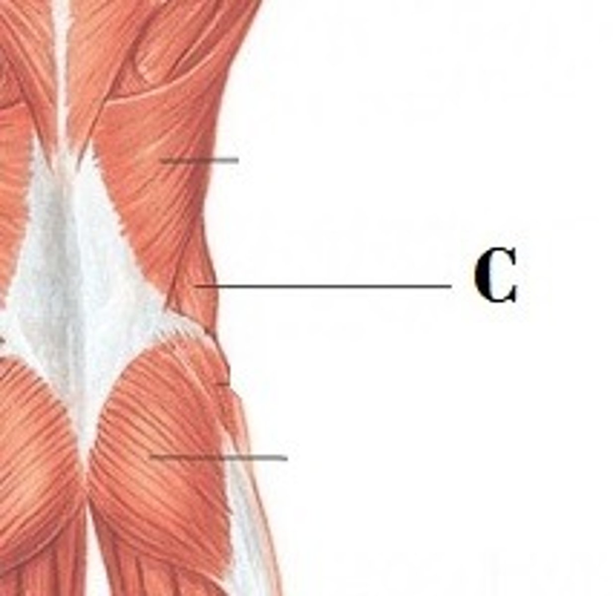<p>DEFINITION</p>