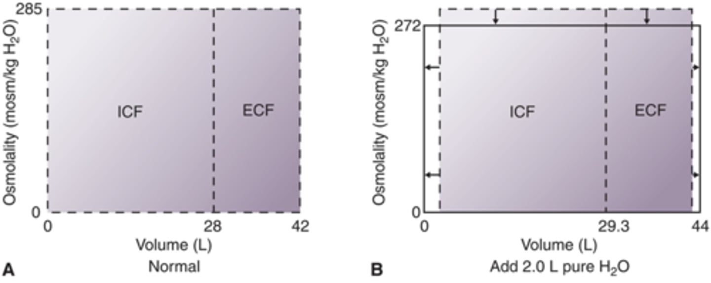 <p>hypotonic, decrease osmolarity, increase volume in ECF and ICF (more so in ICF) contains 0 solutes (don't give)</p>