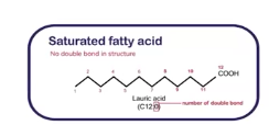 <p>Some lipids<strong> (which are triglycerides and phospholipids) </strong>contain fatty acids <strong>(building blocks of lipids)</strong></p><p>This is a __________ fatty acids and it contains only single bonds between carbon atoms, this makes their hydrocarbon chains straight. </p><p>Because the chins are straight, they can pack tightly together (like bricks). This makes the facts soils at room temperature (e.g., butter, lard). So when these are eaten in excess, these tightly packed fats can build up as plaque in arteries, increasing the risk of atherosclerosis, heart attacks, and strokes.</p><p>These are mainly found in animal products (butter, cheese, red meat, pork, poultry skin, dairy fats) and some tropical oils (concunt oil, palm oil)</p>