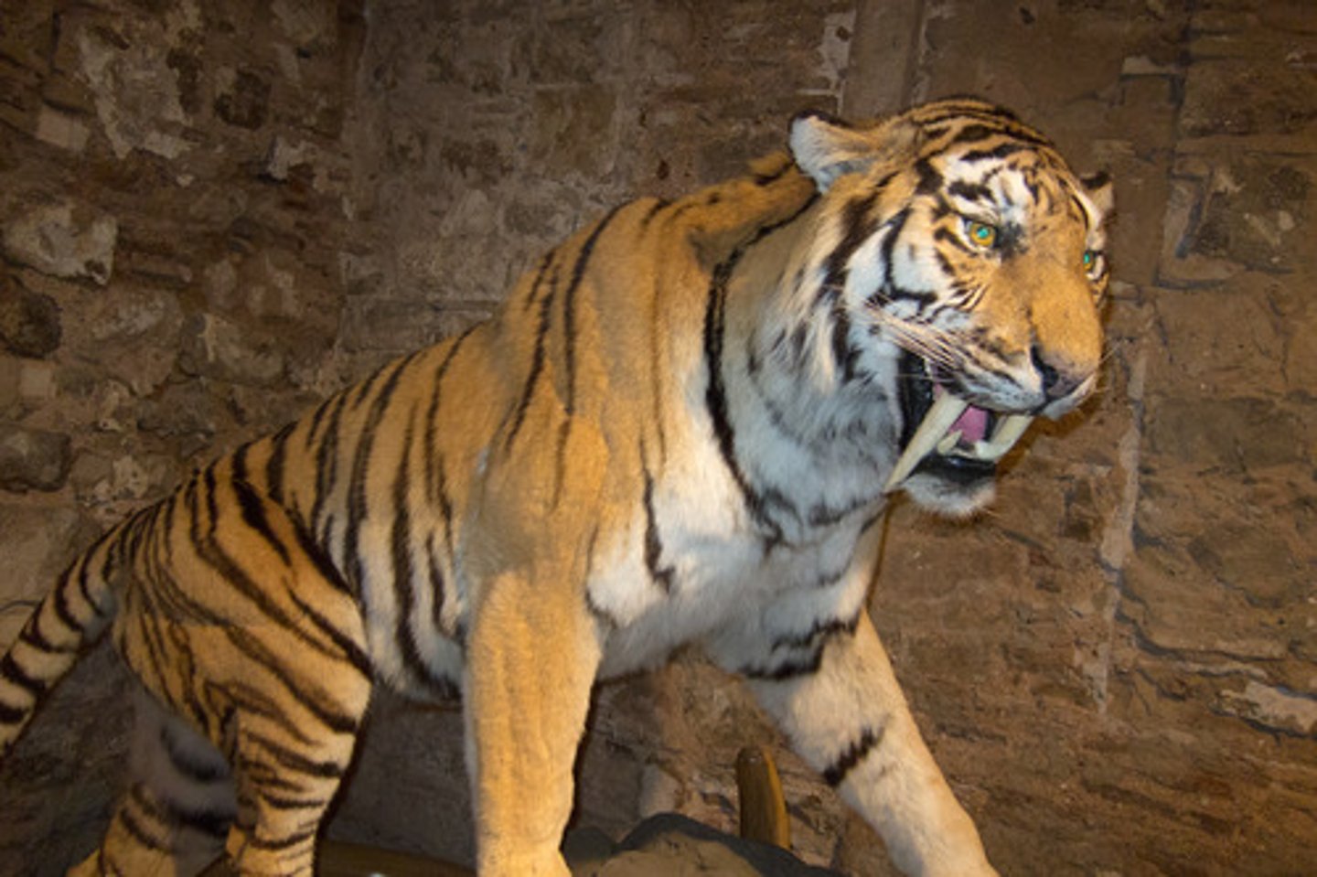 <p>Always searching for food, on the move, stalked by animals</p>