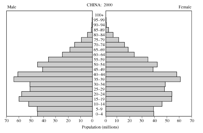 <p><span style="font-family: Roboto, LearnosityMath, Helvetica Neue, Helvetica, Arial, sans-serif">Based on the population pyramid above, which of the following will pose the greatest demographic challenge to China beginning in 2029?</span></p>