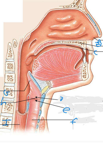 <p>What is F pointing at?</p>