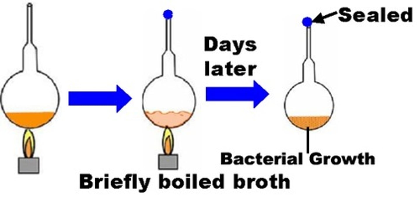 <p>Heated broth in sealed flasks. When the broth became cloudy with microrganisms, he mistakenly concluded that they developed spontaneously from the broth</p>