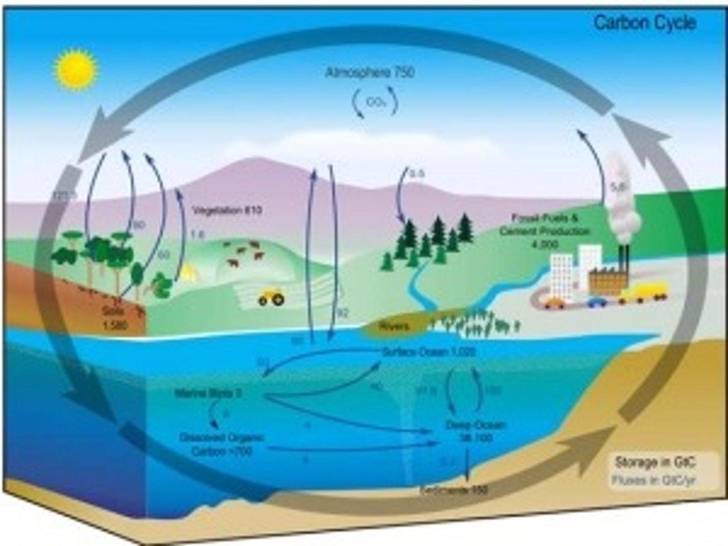 <p>A system composed of organisms and nonliving components of an environment.</p>