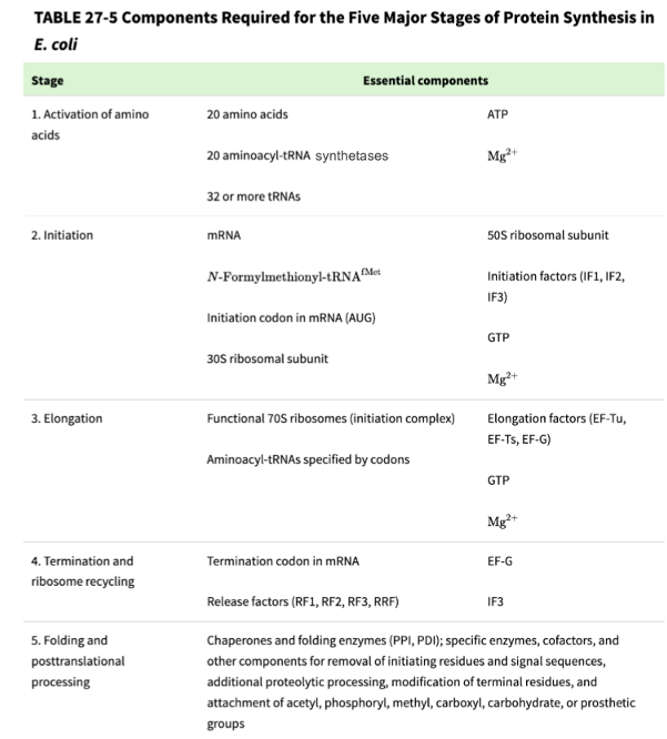 <ol><li><p>transfer RNA (tRNA)</p></li><li><p>amino acids</p></li><li><p>aminoacyl tRNA synthetase</p></li><li><p>Messenger RNA (mRNA)</p></li><li><p>30S ribosome</p></li><li><p>50S ribosome</p></li><li><p>Energy (ATP, GTP)</p></li><li><p>Initiation factors</p></li><li><p>elongation/T factors</p></li><li><p>Release factors</p></li></ol>