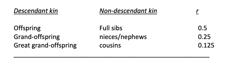 <p>Can get just as much genetic benefit from helping full siblings to having your own kids</p>