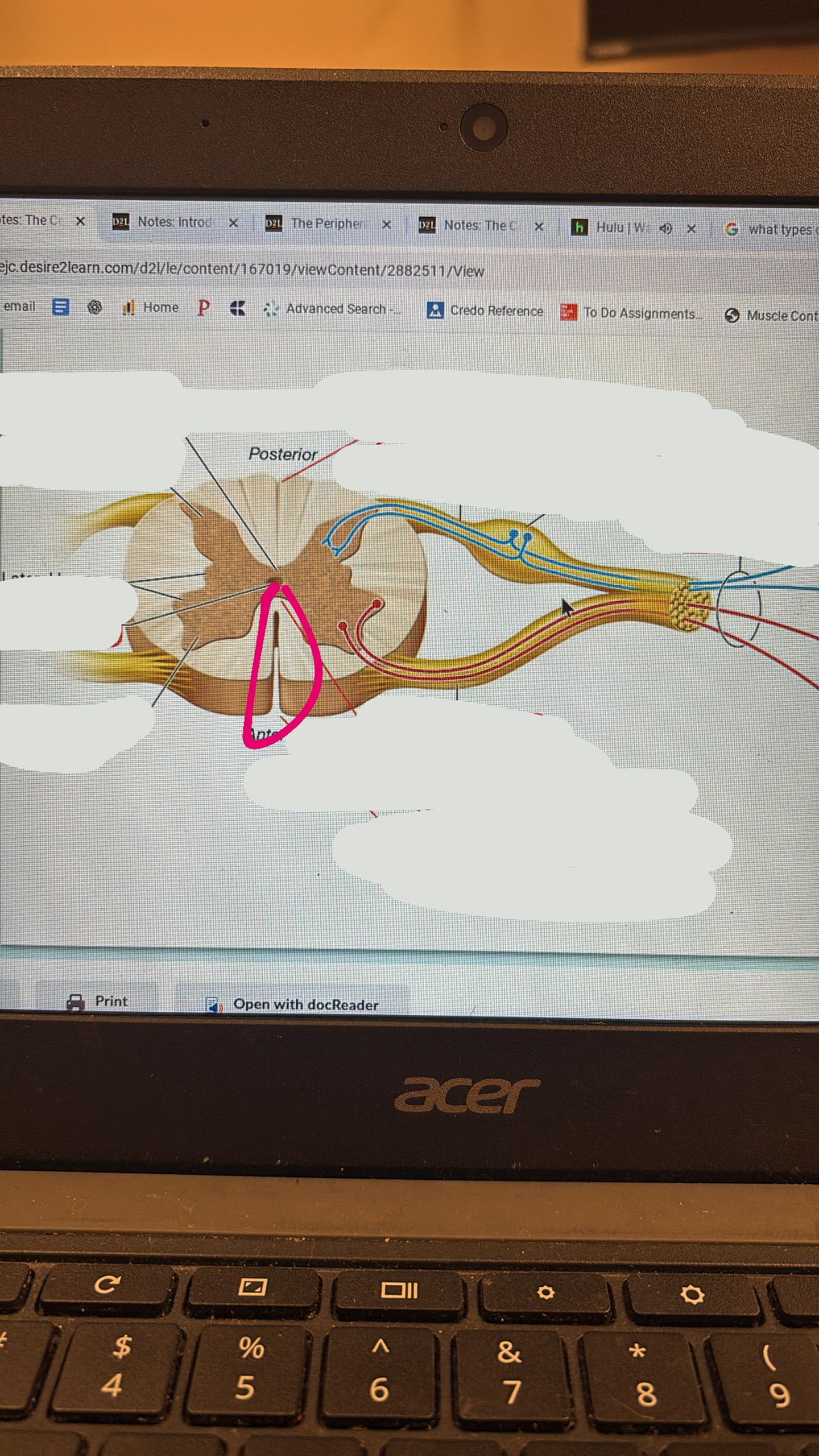 knowt flashcard image