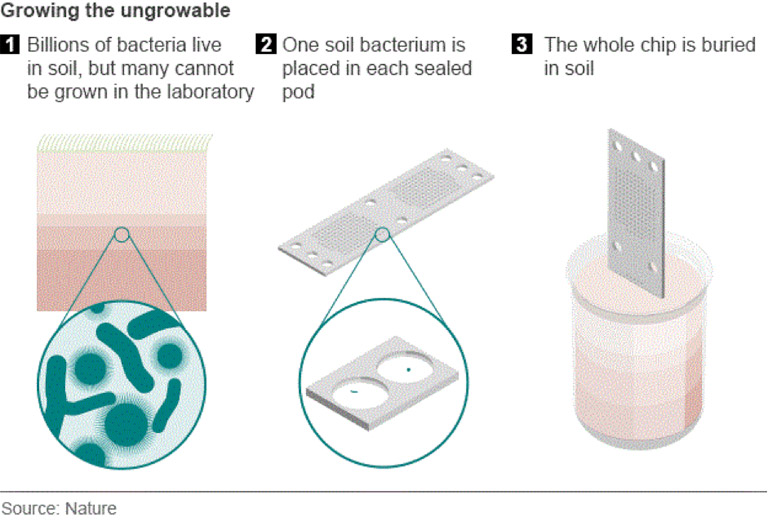 <p><strong>Using iChip technology which enables screening of hard to cultivate m/o by using culture conditions that are similar to their environment  in situ, allowing researchers to <mark data-color="green" style="background-color: green; color: inherit;">identify antibiotic producers directly from environmental samples.  </mark></strong></p><img src="https://knowt-user-attachments.s3.amazonaws.com/39271e7c-a96f-49ec-8eb6-1b0858895d25.png" data-width="75%" data-align="center"><p></p>