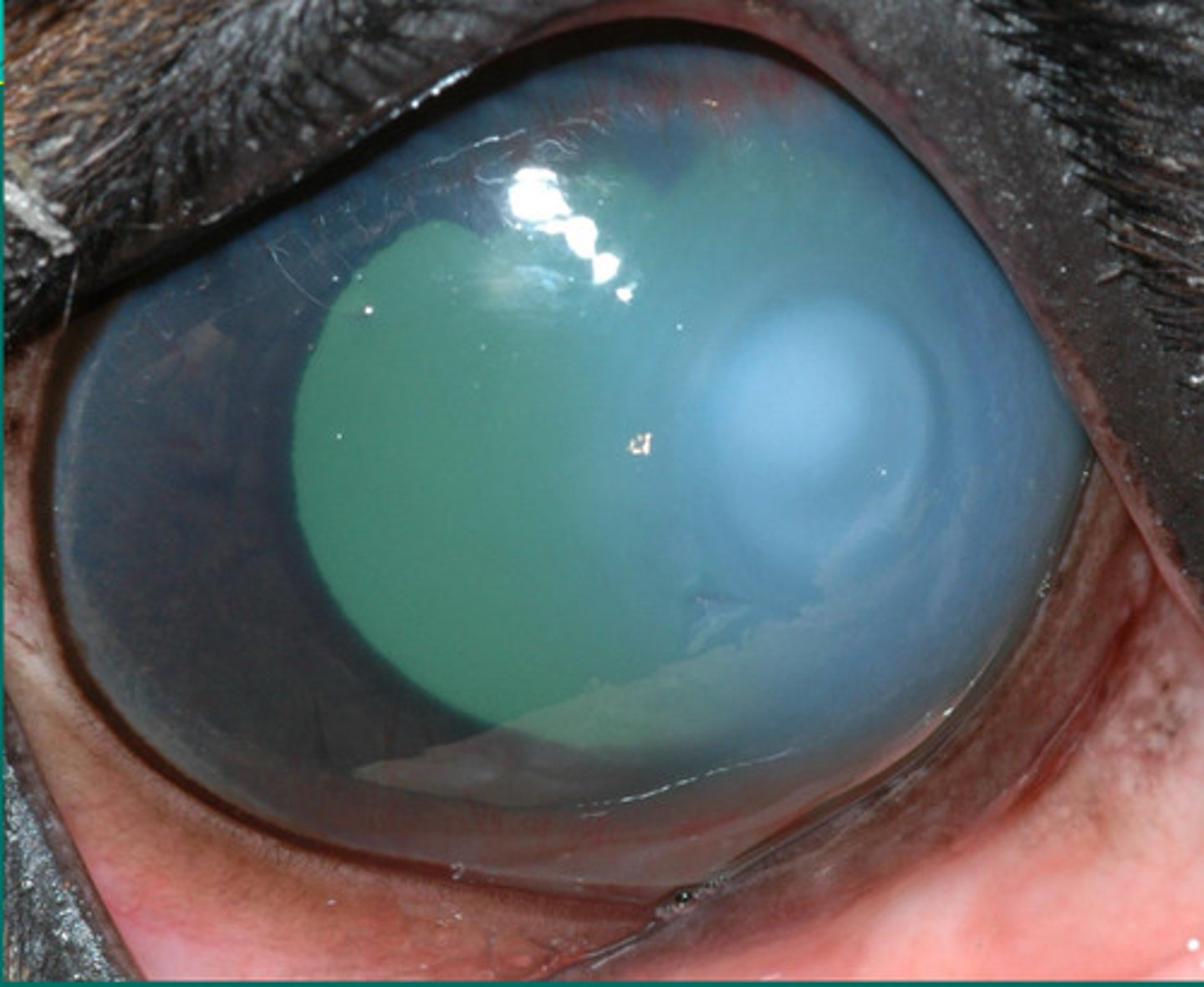 <p>Describe what you are seeing?</p>