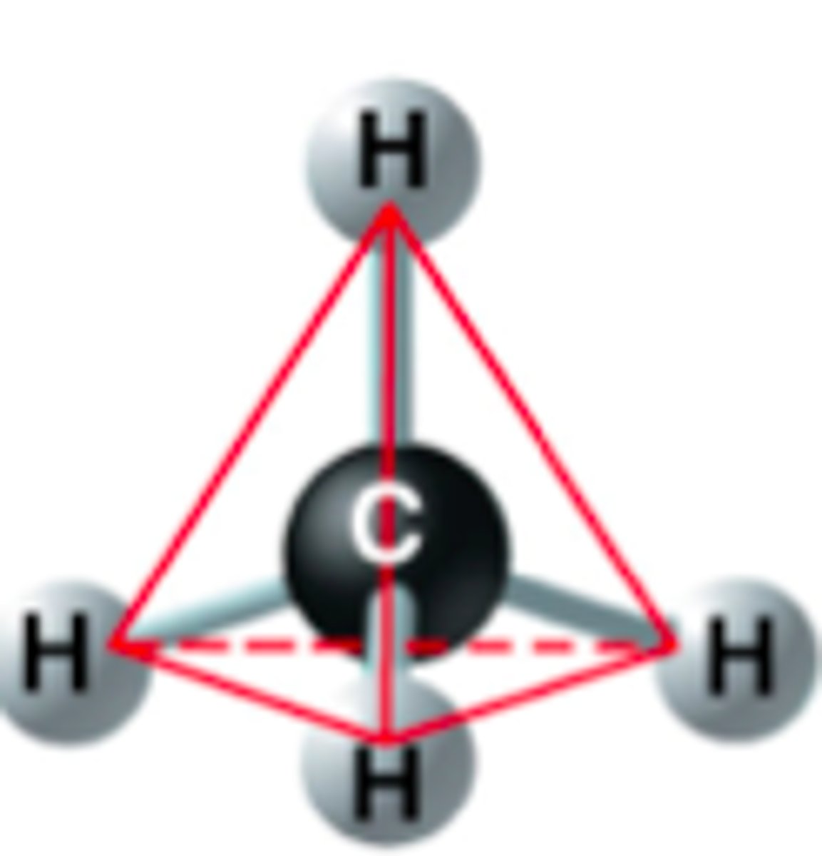 <p>mostly tetrahedron structure (4 triangles) with either:</p><p>- repeating unit of DNA or...</p><p>- repeating unit of RNA</p>