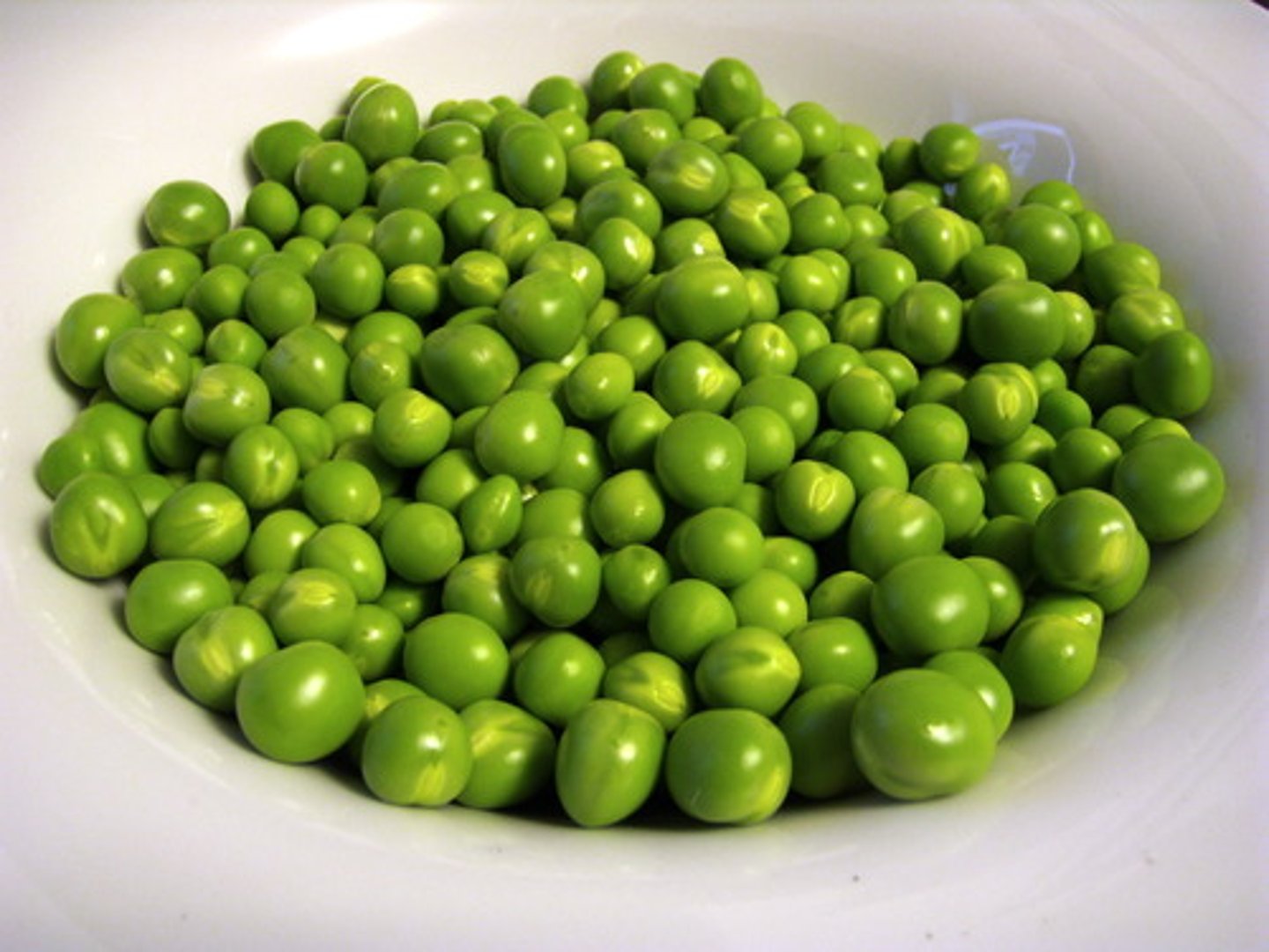 <p>peas</p>