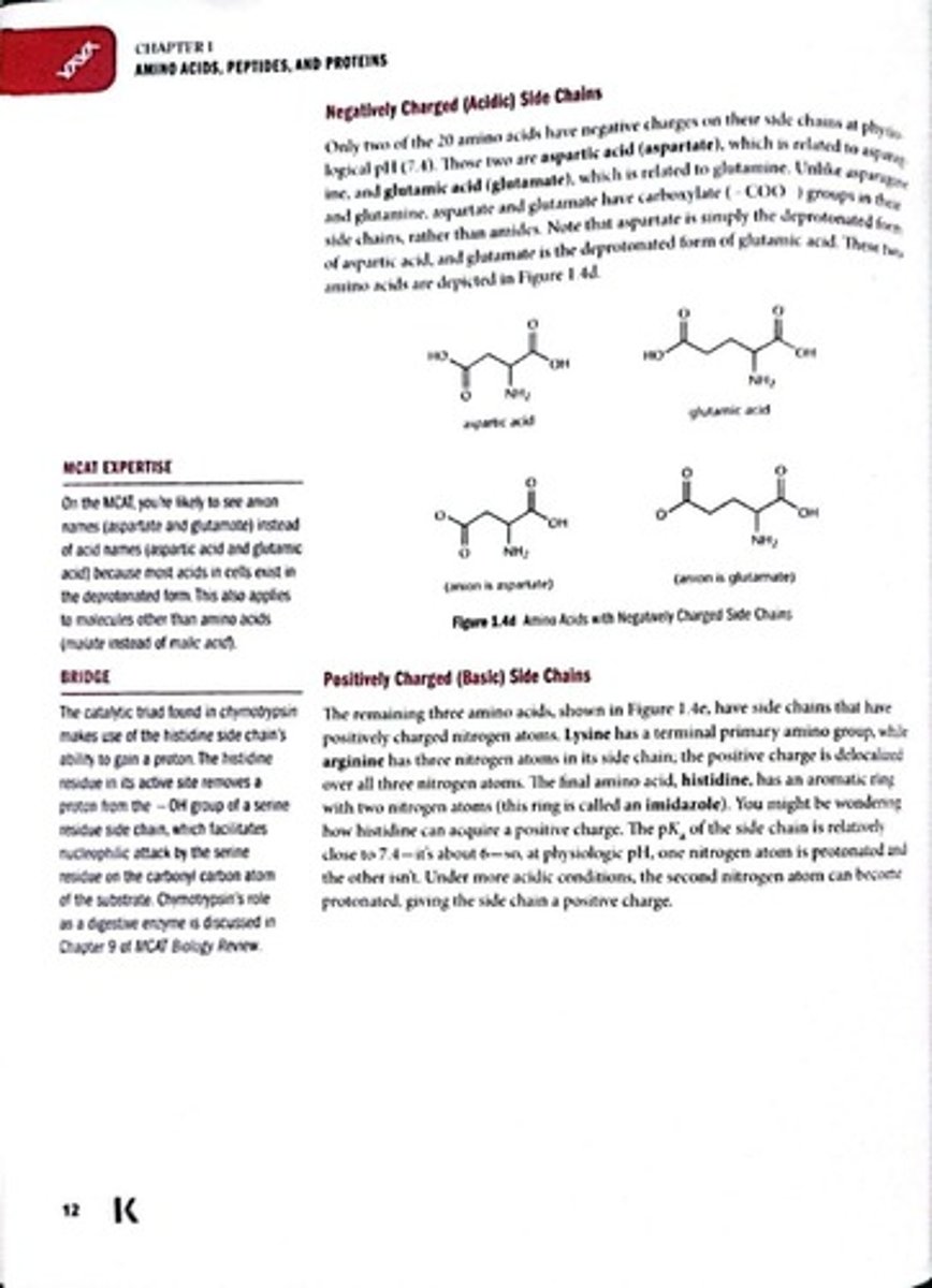 <p>Amino acids with charges at physiological pH.</p>