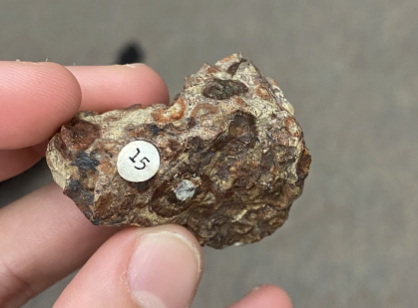 <p>Only red with multiple colors, Little circles throughout, <strong>Aluminum ore</strong></p>