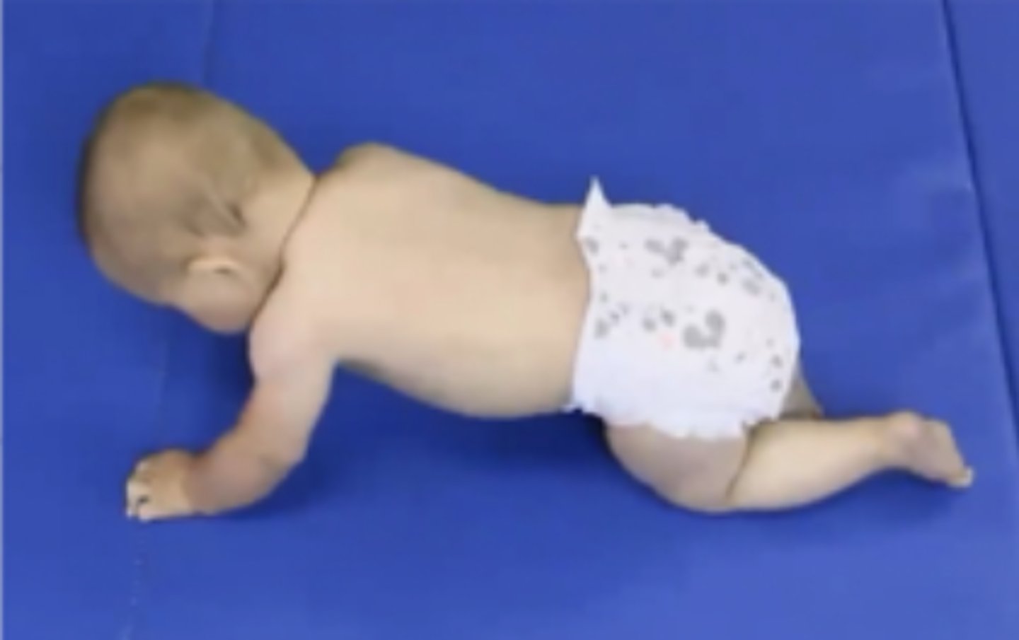 <p>6-7</p><p>7 months but may have started at 6</p>