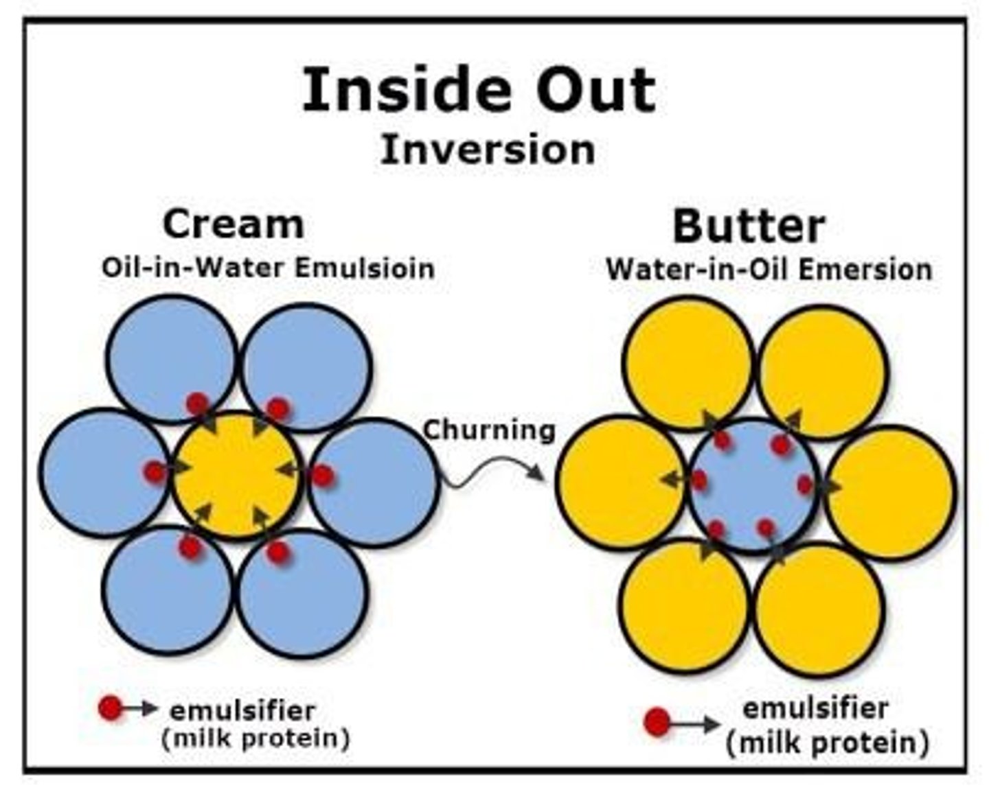 <p>Butter is made by churning cream, which breaks up fat globules and inverts the emulsion from oil-in-water to water-in-oil.</p>