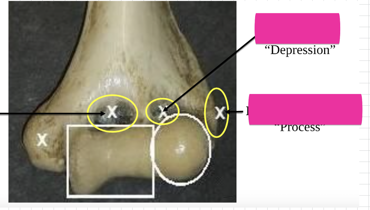 <p>Name this process </p>