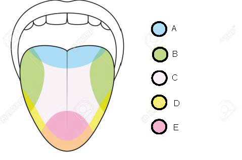 <p>C.</p>