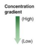 <p>There is a [High] in ECF of a carrier and [Low] in ICF</p>