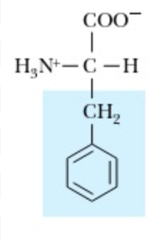 <p>Phenylalanine</p>