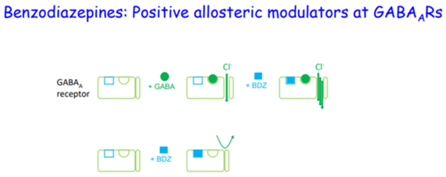<p>BDZs bind to allosteric receptors, causing GABA to bind better to its ligand receptor and therefore increasing the amount of Cl ions moving in</p>
