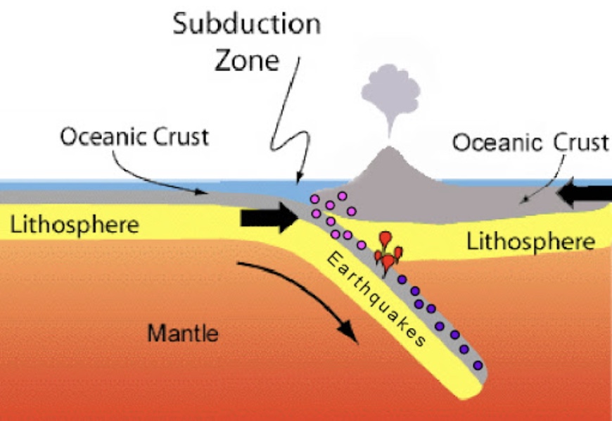 <p><span>Convergent plate boundaries where one tectonic plate slides beneath another, typically an oceanic plate beneath a continental plate or another oceanic plate</span></p>