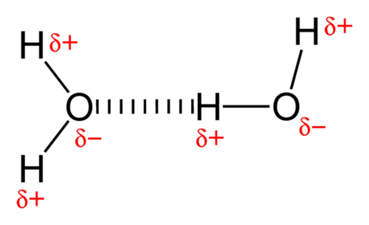 <p>Hydrogen bonding</p>