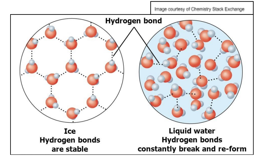 <p>Simple molecule with unusually high mpts and bpts for size of molecule due to Hydrogen bonds</p><p>Hydrogen bonds also result in ice having much lower density than liquid water, as they hold the molecules in a rigid structure w/ lots of air gaps</p>