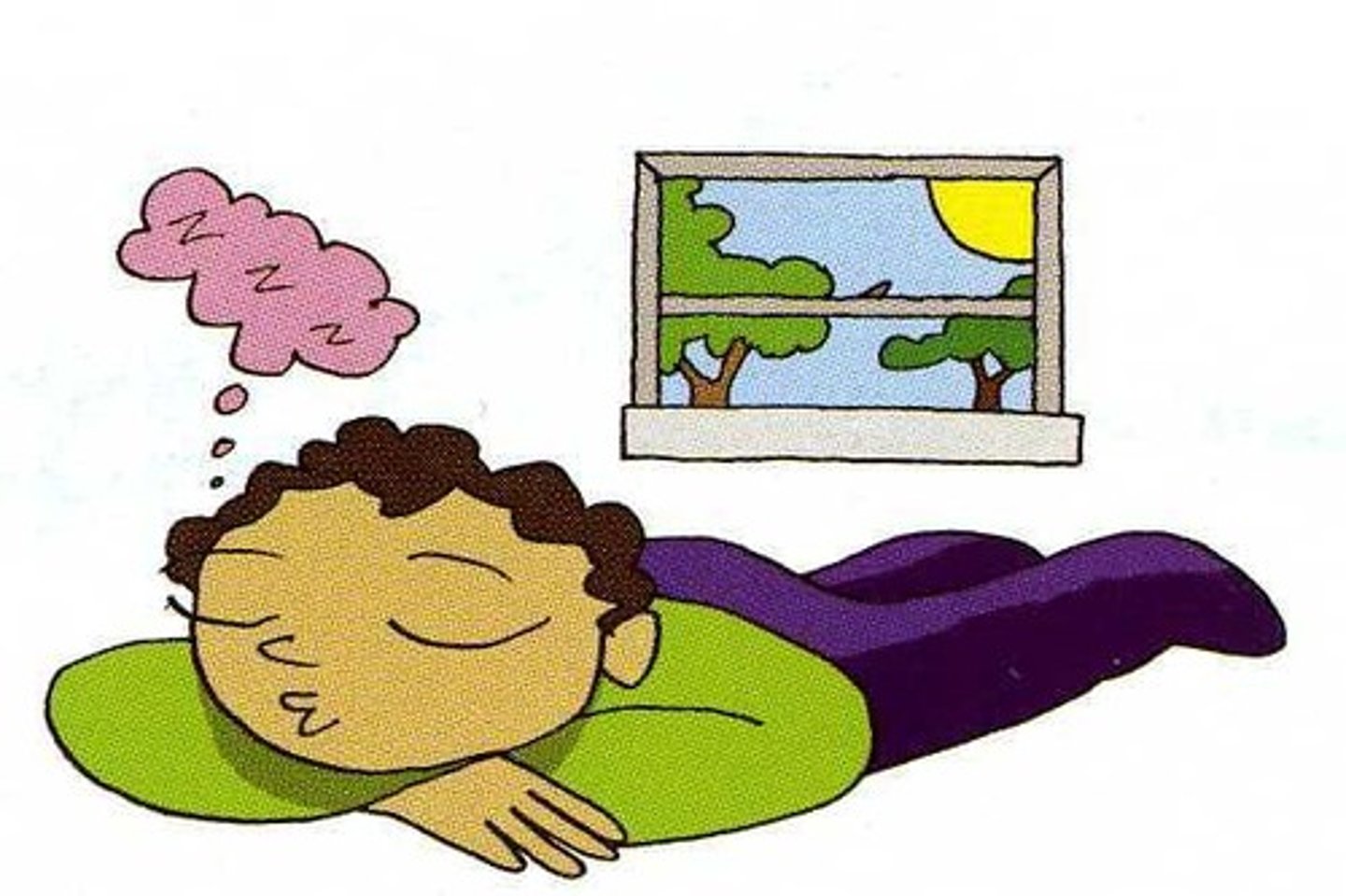 <p>a daytime nap</p>
