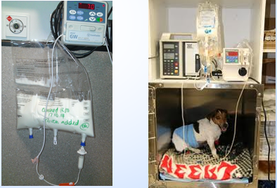 <p>Parental nutrition </p>