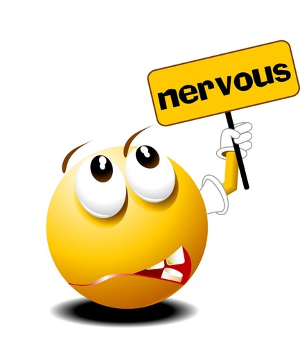 <p>I am nervous</p>