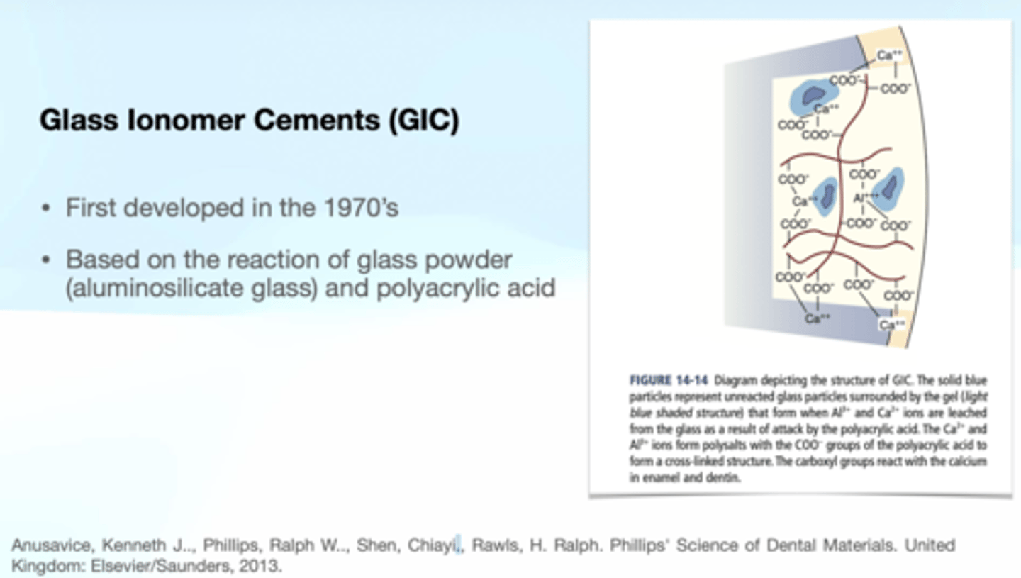 <p>The reaction of glass powder (aluminosilicate glass) and polyacrylic acid</p>