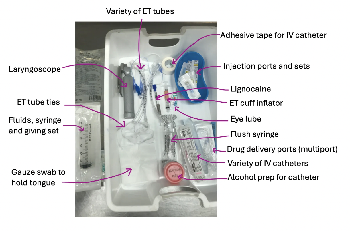 <p><strong>A = Airway</strong></p><ul><li><p><u>Equipment:</u></p><ol><li><p>Laryngoscope</p></li><li><p>ET tubes</p></li><li><p>Cuff inflator syringe</p></li><li><p>ET tube tie</p></li><li><p>Gauze swab to hold tongue</p></li><li><p>± Lignocaine (cat)</p></li></ol></li><li><p><u>Function:</u> Secure airway</p></li><li><p><u>Checks:</u></p><ol><li><p>Attach blade of laryngoscope to check light is working</p></li><li><p>Inflate cuffs for leaks</p></li><li><p>Ensure ET tube tie is long enough</p></li></ol></li></ul><p></p><p><strong>B = Breathing</strong></p><ul><li><p><u>Equipment:</u></p><ol><li><p>Anaesthetic machine</p></li><li><p>Breathing circuit</p></li></ol></li><li><p><u>Function:</u> Assess if patient is breathing</p></li><li><p><u>Checks:</u></p><ol><li><p>Machine check</p></li><li><p>Breathing system check</p></li></ol></li></ul><p></p><p><strong>C = Circulation</strong></p><ul><li><p><u>Equipment:</u></p><ol><li><p>IV catheters</p></li><li><p>Injection ports or T-port</p></li><li><p>Saline flush</p></li><li><p>Tape</p></li><li><p>Alcohol prep for catheter</p></li></ol></li><li><p><u>Function:</u> Secure IV access to induction drugs, emergency drugs and IVFT</p></li><li><p><u>Checks:</u> Prime sets with saline</p></li></ul><p></p><p><strong>D = Depth and Drugs</strong></p><ul><li><p><u>Equipment:</u> Drugs = Syringes, needle, drugs drawn up and labelled</p></li></ul><ul><li><p><u>Checks:</u> Check drug calculations and correct volumes drawn up</p></li></ul><p></p><p><strong>E = Eye lube and equipment</strong></p><ul><li><p><u>Equipment:</u> </p><ol><li><p>Lacrilube</p></li><li><p>Pulse oximeter</p></li><li><p>ECG</p></li><li><p>Doppler/oscillometric cuff</p></li><li><p>Thermometer</p></li></ol></li><li><p><u>Function:</u> Protect eyes from drying out</p></li></ul><p></p><p><strong>F = Fluids</strong></p><ul><li><p><u>Equipment:</u></p><ol><li><p>Fluid bag</p></li><li><p>Giving set</p></li></ol></li><li><p><u>Function:</u> Provide fluid for CVS support during GA-associated fluid loss</p></li><li><p><u>Checks:</u> Primed line and correct fluid rates calculated</p></li></ul><p></p>