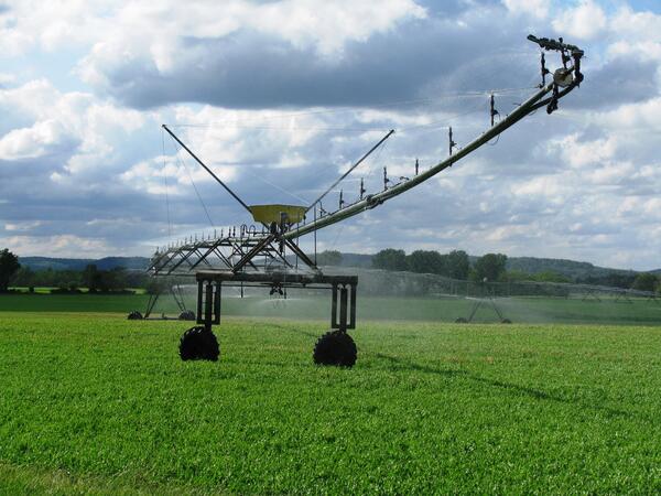 <p>spray irrigation</p>