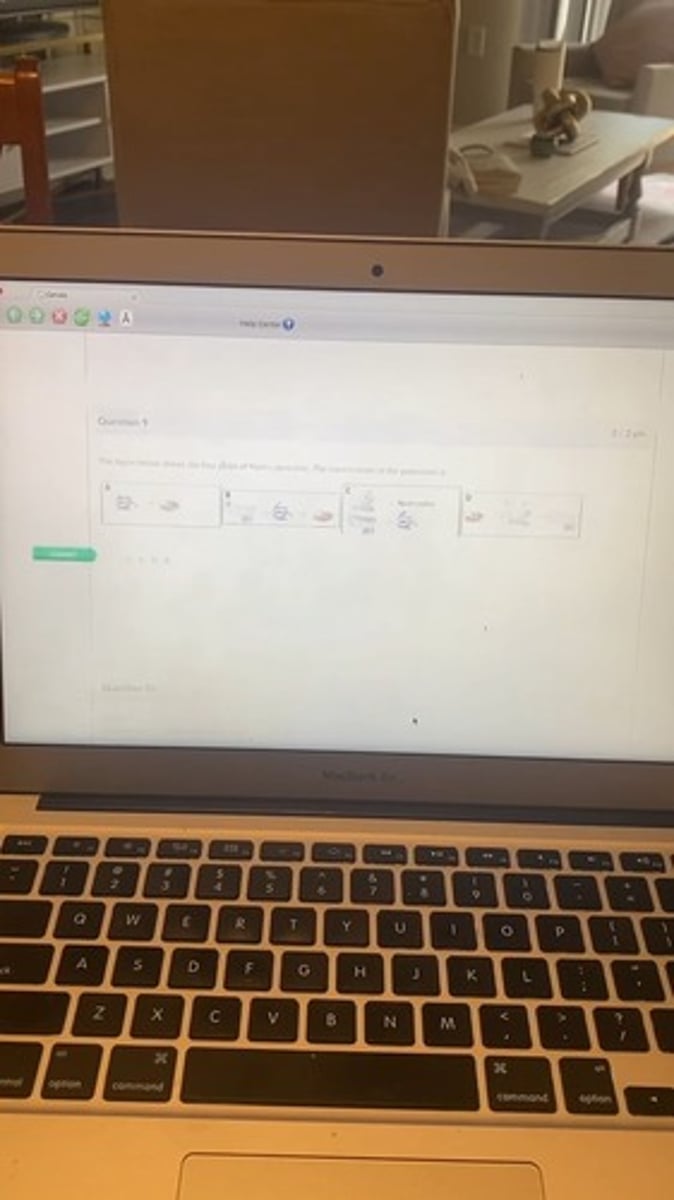 <p>If you wish to use an immunofluorescence stain to differentiate between E. coli and Staphylococcus aureus, which of the following components of the fluorescent microscopy technique would be DIFFERENT between the two sample preparations so that you will be able to differentiate one organism from the other?</p>