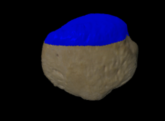 <p>De bovenzijde</p>