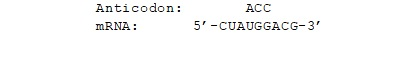 <p>Suppose you have a mRNA molecule with the following tRNA anticodon located in the P site of the ribosome. A tRNA with which anticodon will be located in the A site of the ribosome?</p><p>5'-CUA-3'</p><p>5’-UAG-3’</p><p>5’-ACG-3’</p><p>5’-CGU-3’</p>