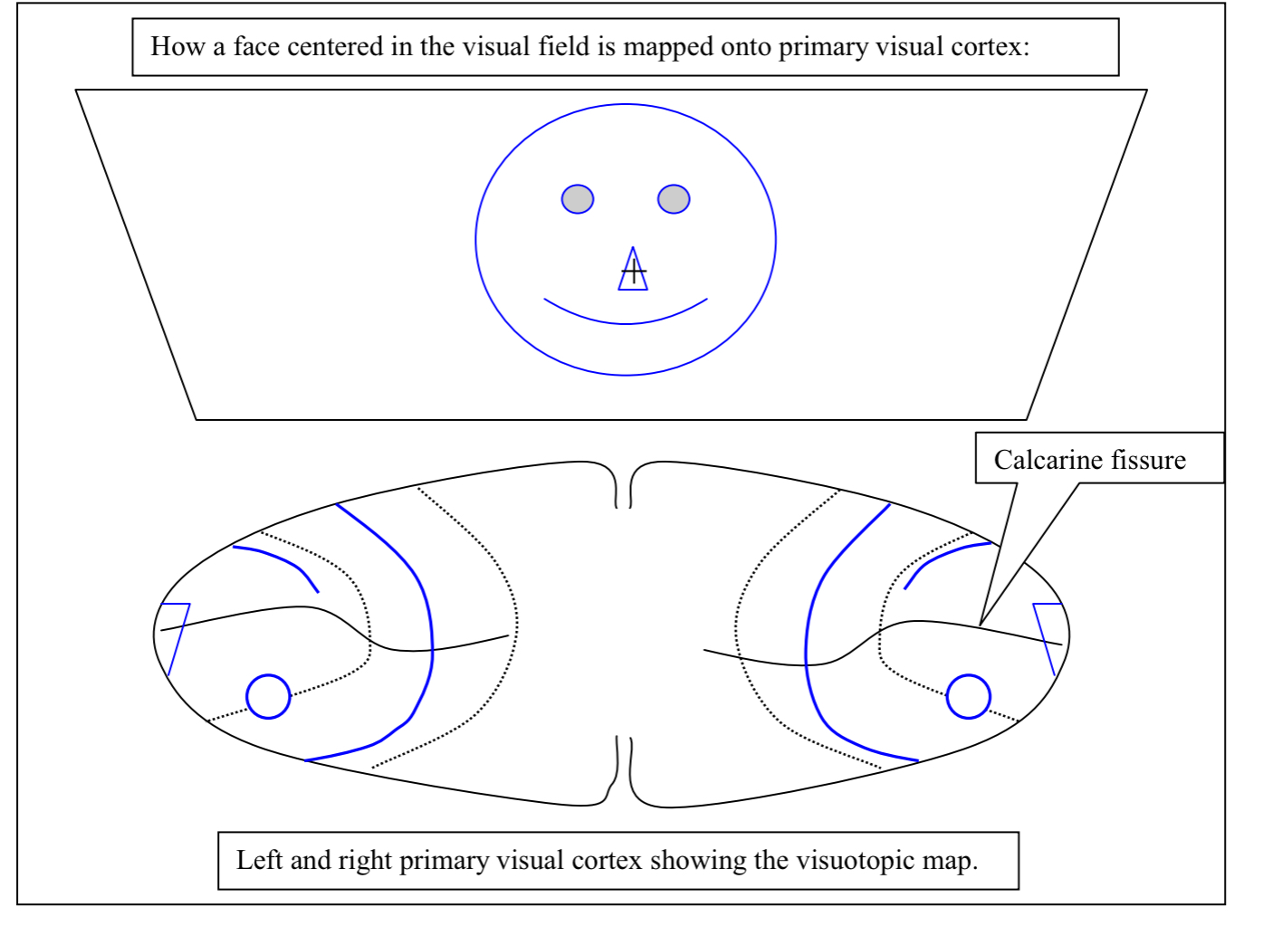 <p>How do you recognize this as a face?</p>