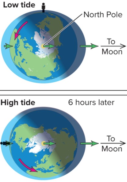 <p>Tidal bulge is caused by Moon’s gravity pulling water towards it.<br>Moon also pulls Earth away from the ocean on the opposite side, causing a tidal bulge on opposite side of Moon’s location.</p>