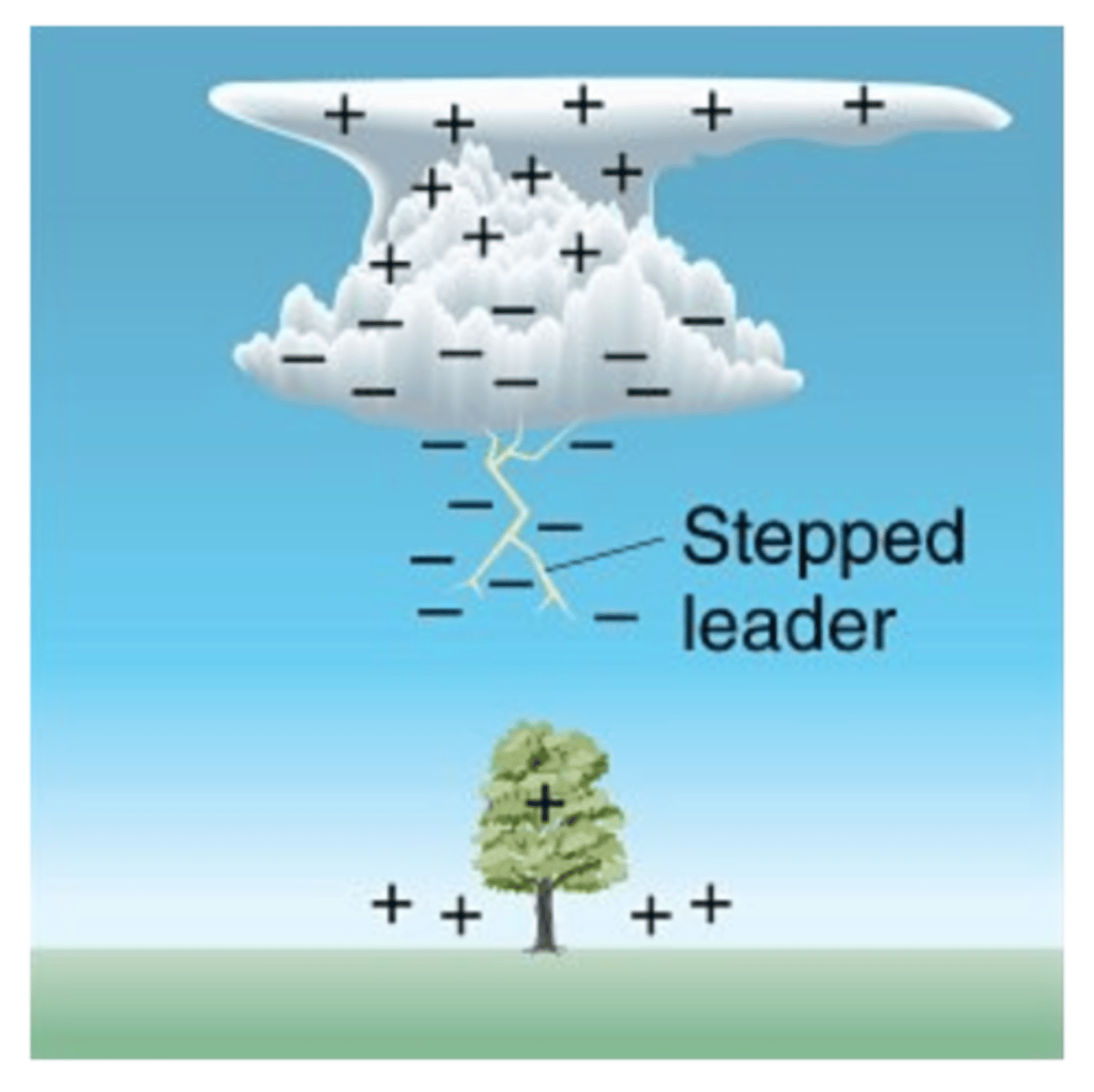 <p>creates the pathway for the flow of electrons.</p>