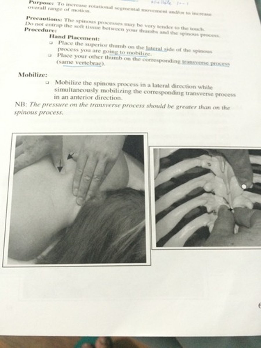 <p>Intervertebral joints mobility</p>