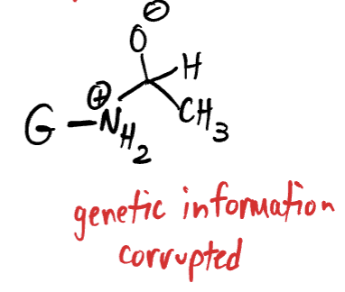<p>how does chronic drinking cause cancer?</p>