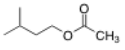 <p>4 carbon chain with a methyl group on C3</p>