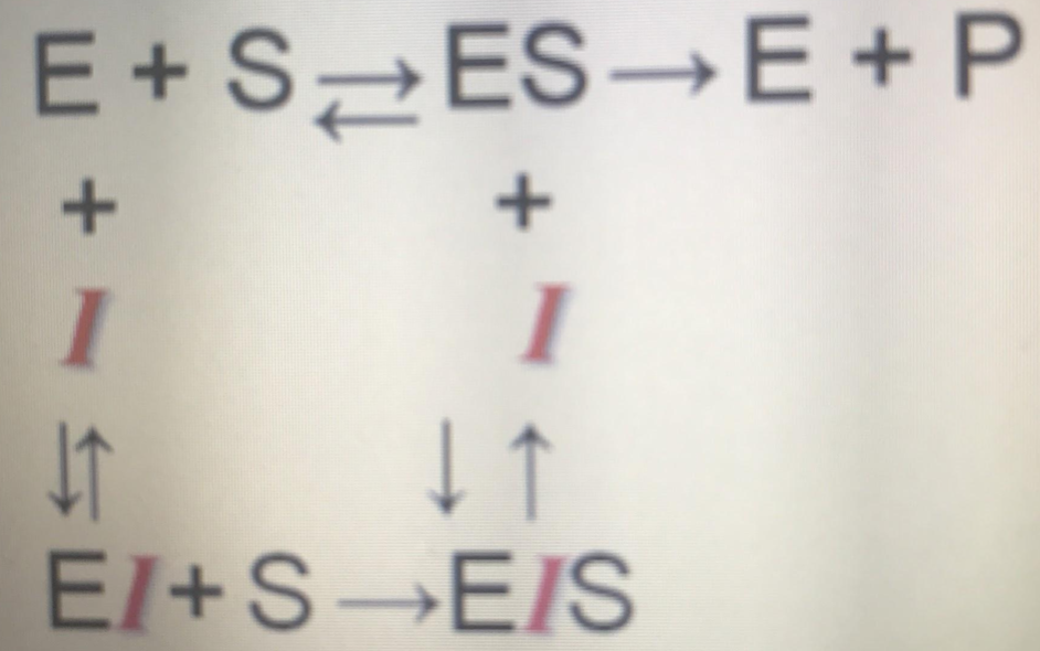 <p>what kind of enzyme inhibition does this depict?</p><p></p>