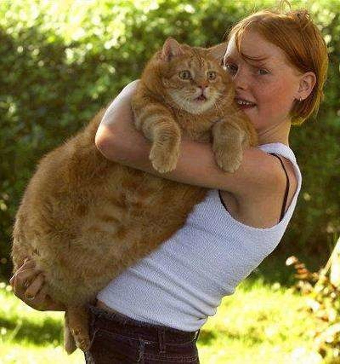 <p>enormous</p>