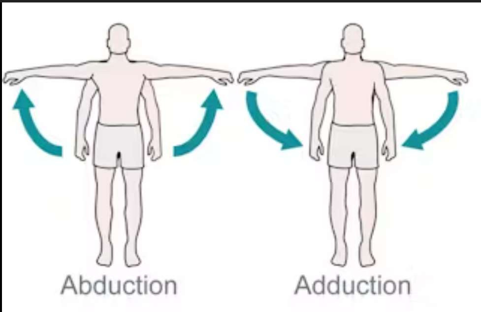 <p>moving a part away from median plane</p><p>opposite adduction</p>