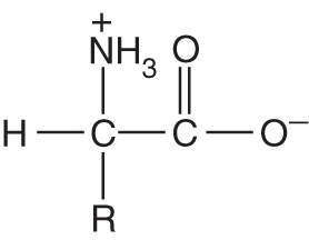 <p>What is the carbon in the middle?</p>